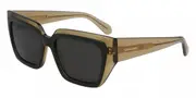 Salvatore Ferragamo SF 2002S 327 Men's Sunglasses Green Size 55