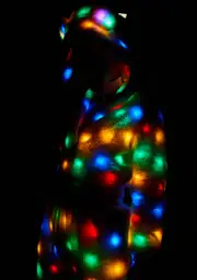 [Club Exx] Moon Bear Light Up Hoodie
