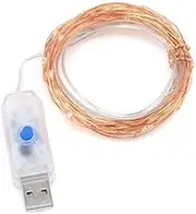 Leona Co Warm White LED Copper Wire Fairy Lights, 10M 100 LED 8 Modes Lights, Christmas Lights for Bedroom, Patio, Garden, Party, Wedding, and More