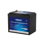 Renogy 12V 100Ah Core Trolling Lithium Battery