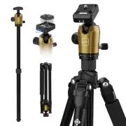 73-Inch Camera Tripod - Lightweight DSLR Tripod with 360° Ball Head & Quick R...