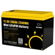 Gokwh 12V 200Ah BT + SOC Mini Car Bluetooth Energy Storage Box Battery Built-in Smart APP & LCD Energy IP65 Protection L