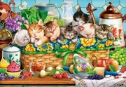Castorland - Napping Kittens Puzzle 1000pc