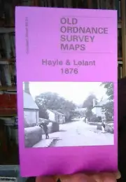 MAP OF Hayle & Lelant 1876: Cornwall Sheet 69.01 by Tony Clifford NEW