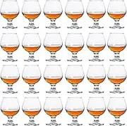 Srgeilzati Snifters Shot Glasses Set of 24 Cute Brandy Cognac Glasses (100ml | 3.5 floz)