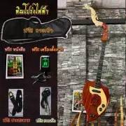 Mandolin folk guitar thai phin isan laos acoustic electric string instrument