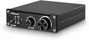 Nobsound G2 PRO TPA3255 Hi-Fi 300W Subwoofer Power Amplifier Mono Channel Class D SUB Audio Amp