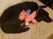 GoDog Dragons Large Coral Chew Guard Squeaker Plush Dog Toy 770638
