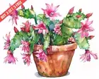 Schlumbergera Christmas Cactus in a pot Watercolor 8x10 Print