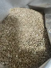 Organic Buckwheat Groats Non-GMO Kosher Raw Vegan CHEAPEST on EBAY 10 lbs.