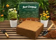 Best Coco Peat Premium Coir Pith 4.5Kg/10 Lbs Block, Expands to 15 Gallon,Low EC