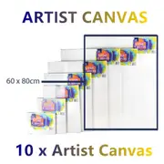 10x Large Artist Blank Canvas Oil Acrylic Painting 60X80 Stretched Canvases Art