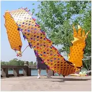 Dance Dragon Ribbon Streamer Dragon Print Dance Streamers,Adult Outdoor Fitness Swinging and Spinning Silk Ribbons, Celebration Equipment(Size:6m/20ft) (Size : 10m/33ft)