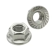 Flange Nuts Hex, M6 304 Stainless Steel Metric Hexagon Nut Thread Screws Bolts Grade Lock Serrated Coarse Threaded Bright Finish Silver Bolt
