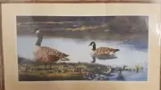 Color Art Cross Stitch Needle Treasures Kit #02569 Family Unit Geese Gosling VTG