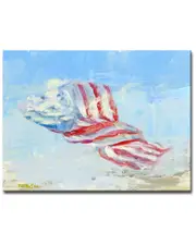 Ready2HangArt Wind Blown Flag Wrapped Canvas Wall Art by Leslie Owens
