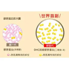 【XBG現貨】DHC 台灣現貨  DHC 膠原蛋白 30日 60日/360粒 中文標示
