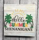 New Beach Theme Magnet Hello Summer Shenanigans Refrigerator Gift Handmade