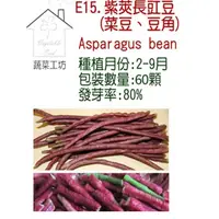 在飛比找momo購物網優惠-【蔬菜工坊】E15.紫莢長豇豆種子(菜豆、豆角)