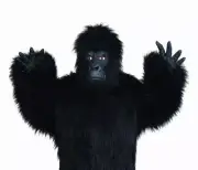 ADULT LATEX GORILLA HANDS APE CHIMPANZEE MONKEY ANIMAL COSTUME MITTS GLOVE BLACK