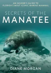 Secrets of the Manatee