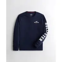 在飛比找蝦皮購物優惠-【現貨 S】HOLLISTER 海鷗 男款貼布刺繡海鷗LOG