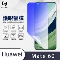 在飛比找momo購物網優惠-【o-one護眼螢膜】HUAWEI 華為 Mate 60 滿