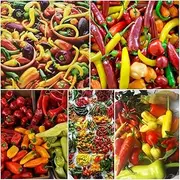 Mix Chilli 15+ Seeds All Types Chili Pepper Mixed Spring Summer Vegetable Garden