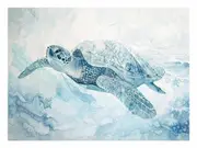 Ice Turtle Canvas Print