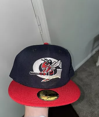 Topperzstore Europe Hornets Minor League Exclusive Fitted Hat Size 7 1/2