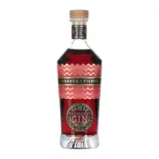 Dasher + Fisher Raspberry Gin 500ml