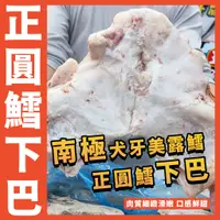 在飛比找蝦皮購物優惠-【鮮煮義美食街】南極犬牙美露鱈下巴／正圓鱈下巴／犬牙南極魚下