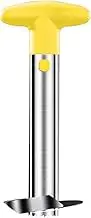 AIMALL Easy Pineapple Corer Slicer Peeler, Stainless Steel Cutter Tool, Ergonomic ABS Handle, 3.4-inch Blade Diameter