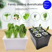 Vegetable Flowerpot Hydroponic Mini Succulent Planter Tabletop Vase