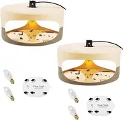 2 Pack Flea Traps,Flea Lamp,Indoor Flea Light,Bed Bug Killer,Odorless Insect Traps,Infestation Treatment Trap,Sticky Bed Bug Trap, for Home, Kids Friendly