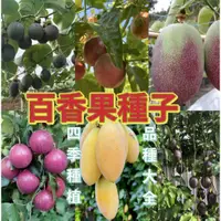 在飛比找蝦皮購物優惠-🌻向友農種業🌻【百香果種子】綠皮百香果哥倫比亞百香果種子 香