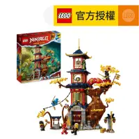 在飛比找友和YOHO優惠-LEGO® Ninjago® 71795 龍之神廟能量核心 