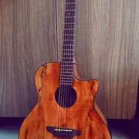 在飛比找蝦皮購物優惠-美國Luna桃花心木41吋單板電木吉他（原廠不鏽鋼弦,拾音器