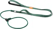 HOWGO Dog Slip Lead Dog Leash,Training Leash,Cinch Leash, No-Pull Slip Leash and Collar,Heavy Duty&Durable,Padded Handle,for All Breeds(Green, 5FT)