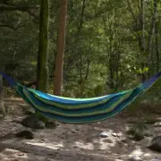 Hammocks Portable Polycotton Swing with Carrying Bag - Blue and Green Stripe