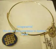 Alex and Ani Blue Epoxy Endless Knot Charm Bangle Shiny Silver