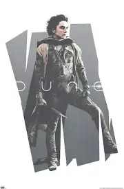 Dune: Part 2 - Paul Atreides Profile - Poster