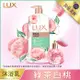 LUX 麗仕 清爽香氛沐浴乳綠茶白桃1L