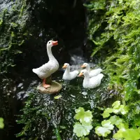 在飛比找蝦皮購物優惠-【微景觀】樹脂小白鴨盆景水池假山陽臺盆栽鴨子擺件微景觀苔蘚擺