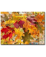 Ready2HangArt Fall Ink XVI Wrapped Canvas Wall Art by Tristan Scott