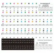 Keyboard Sticker 22.7 * 24.6cm Beginner Colorful For 88/61/54/49/37Key