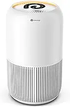 Dreamegg HEPA Air Purifier - Air Purifiers for Bedroom Allergies and Pets, 4-in-1 True HEPA & Activated Carbon Filter, Quiet 360° Air Intake Cleaner with Pet Mode Night Light for Home Smoker Office