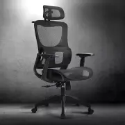 Ergonomic Office Chair with Breathable Mesh, Adjustable Headrest High Back Compu