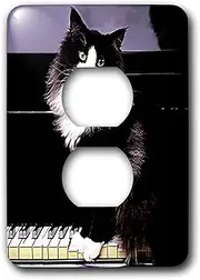 3dRose Tuxedo Cat - 2 Plug Outlet Cover (LSP_575_6), Varies