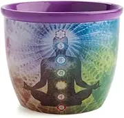Wild Scents Chakra Ceramic Smudge Bowl Incense Burner From